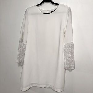 Zara Basic White Lace Sleeve Dress